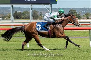 WYCLIF LISTS ADELAIDE AS HIS FAVORITE PLACE TO VISIT